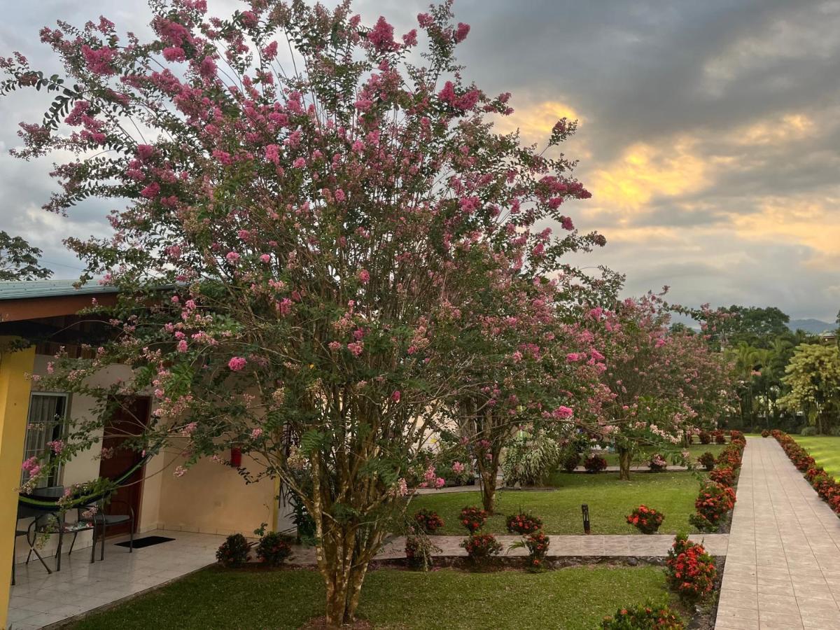 Hotel Villas Vilma La Fortuna Esterno foto